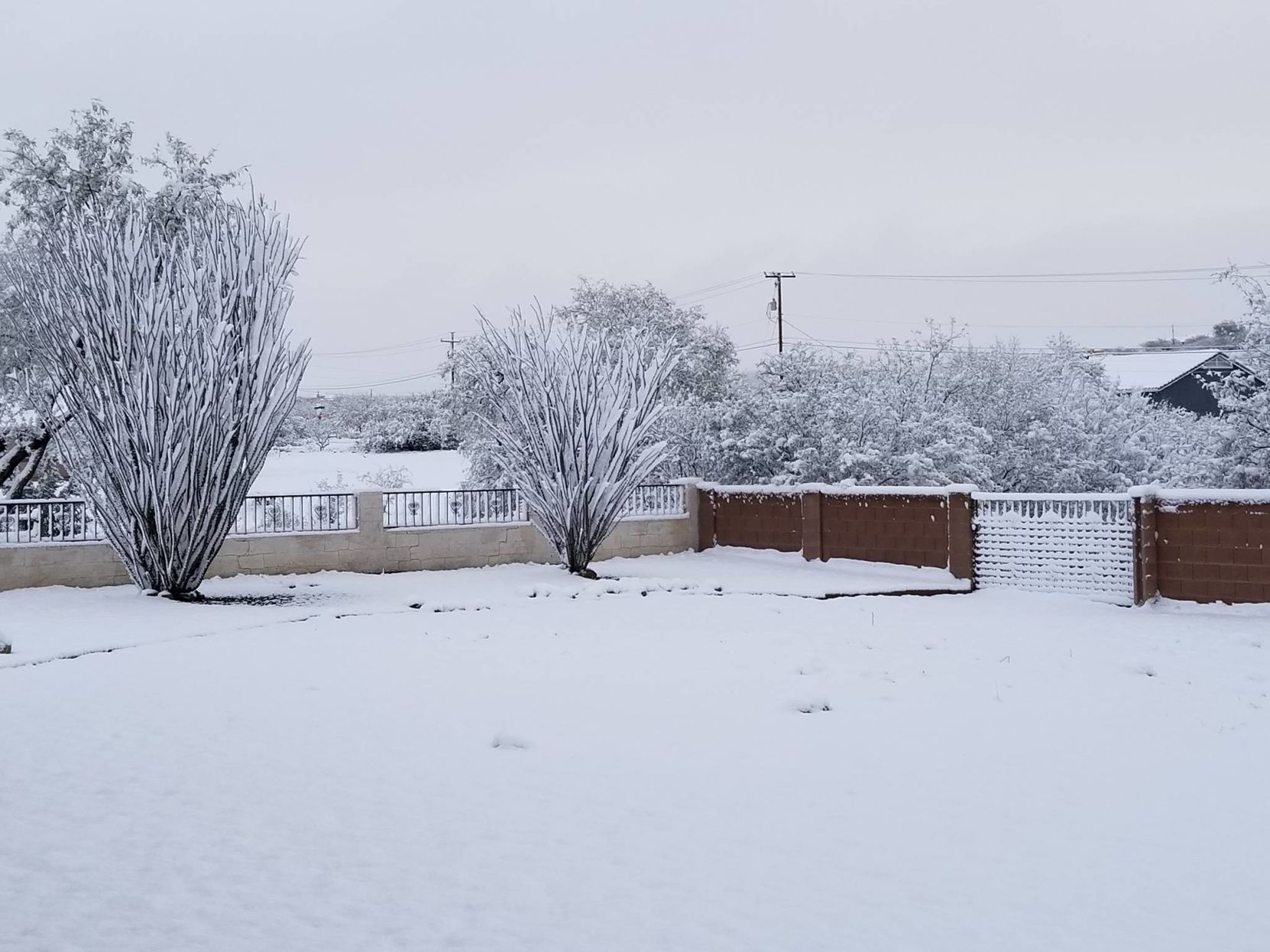 Snow in Rio Rico